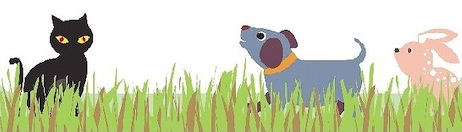 catcroc-backround