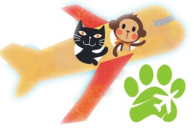 petairwayswithcat