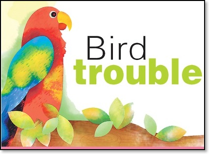 Bird-trouble